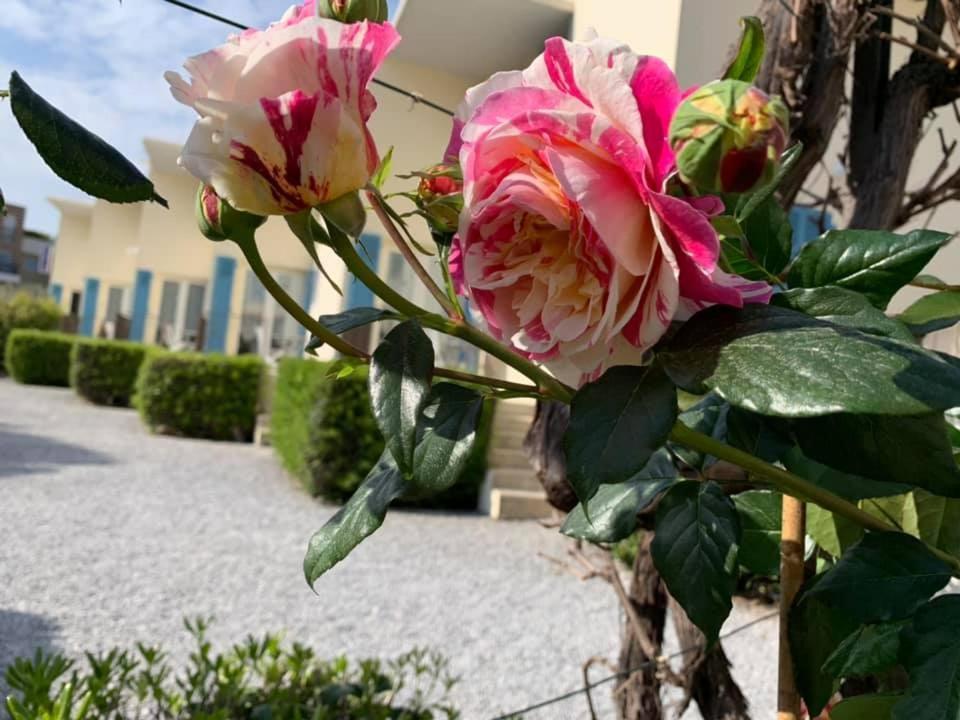 Hotel L'Etape Villeneuve-Loubet Kültér fotó